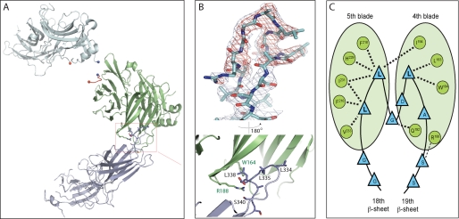 FIGURE 4.