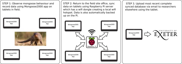 Fig 3