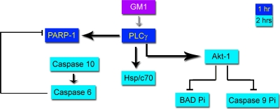 FIG. 7.