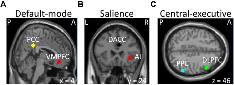 FIGURE 1