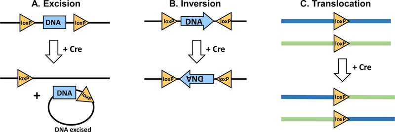 Figure 1: