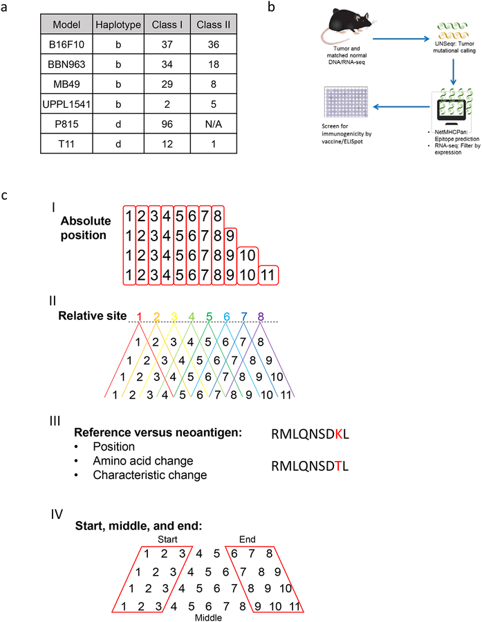 Figure 1: