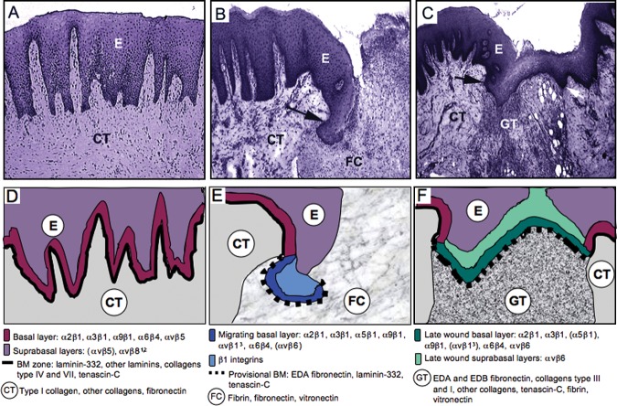 Figure 6.