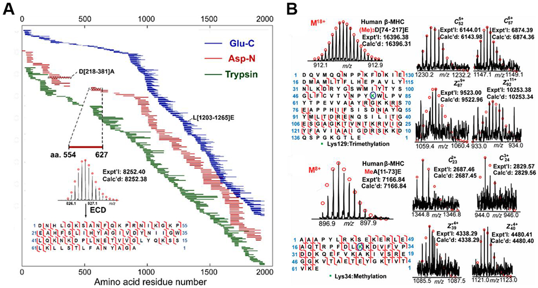 Figure 2|