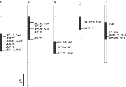 Fig. 1