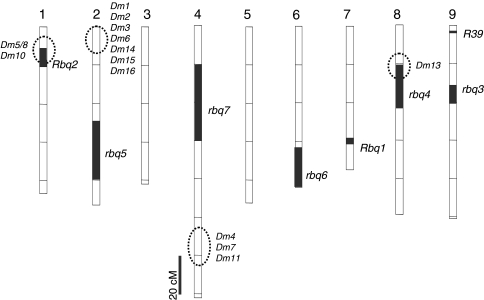 Fig. 4