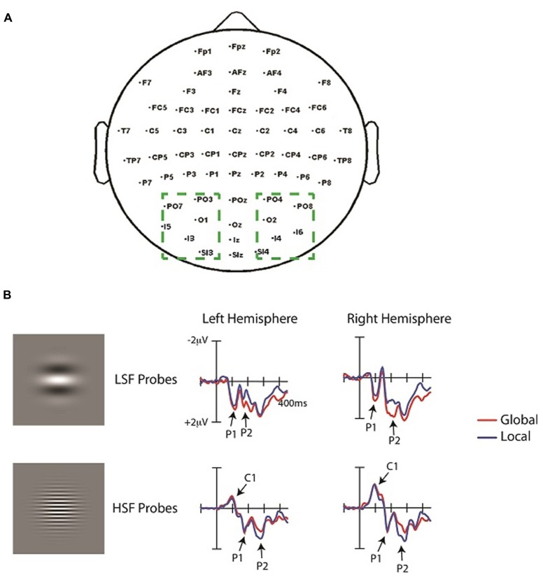 FIGURE 3