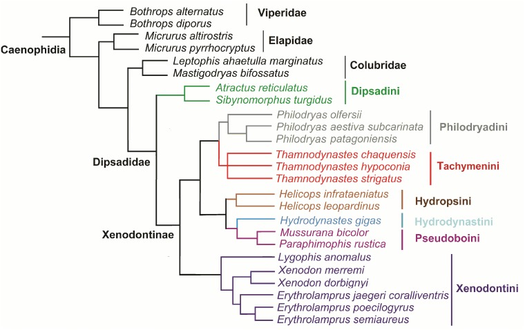 Fig 2