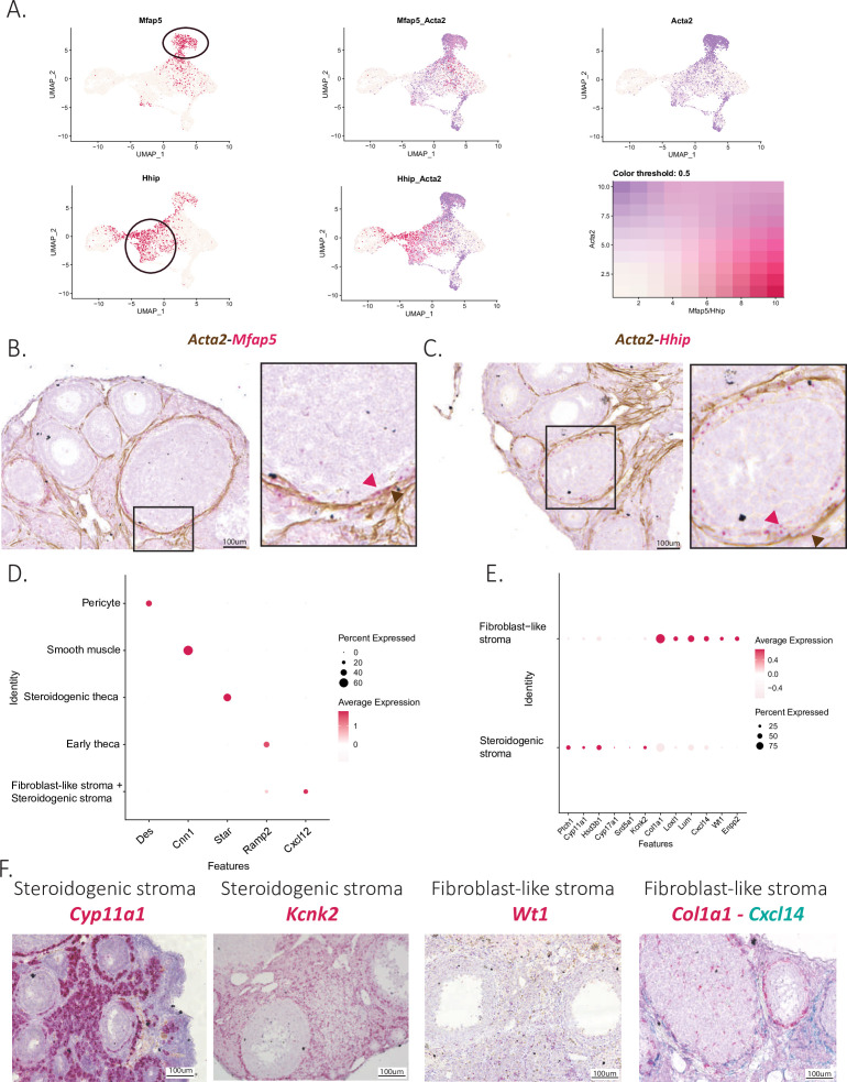 Figure 2—figure supplement 1.