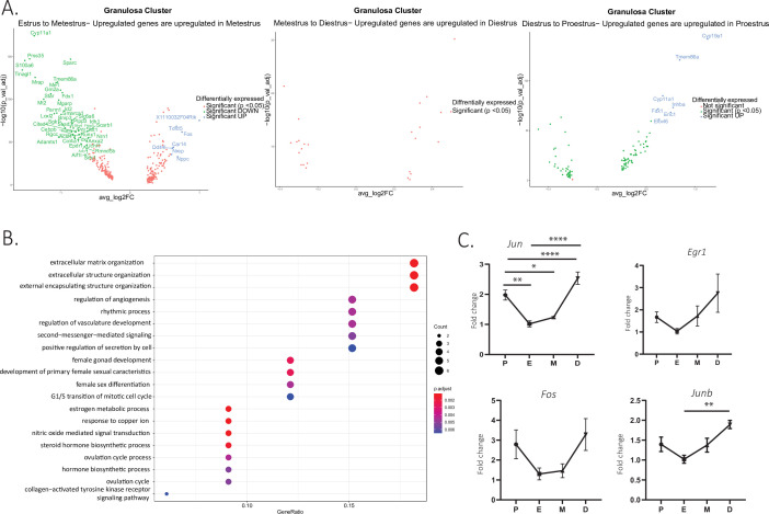 Figure 5—figure supplement 1.