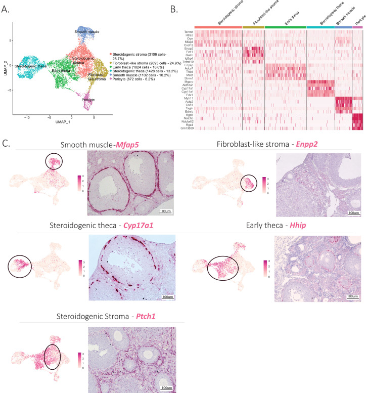 Figure 2.