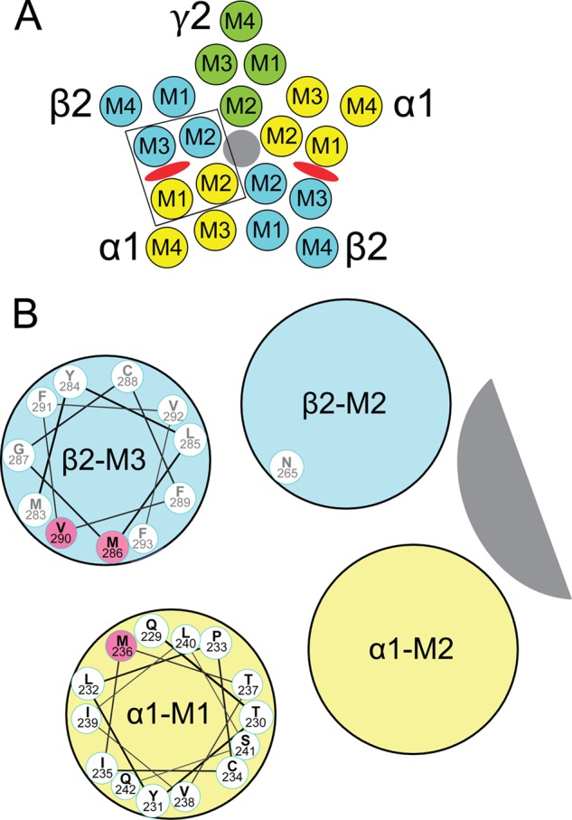 FIGURE 1.