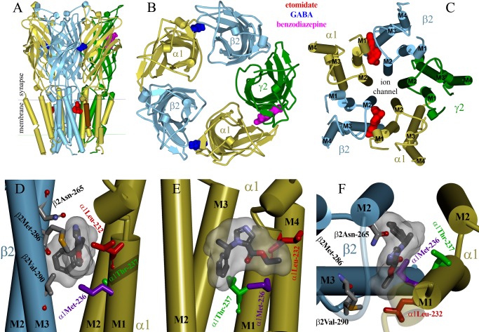 FIGURE 7.