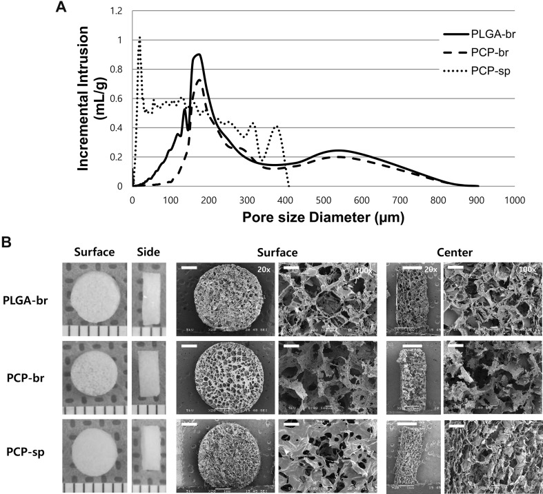 Fig. 4