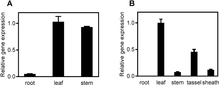 Fig 5