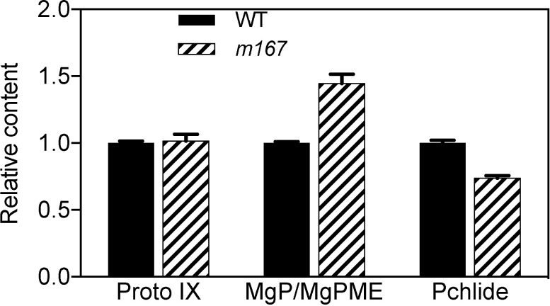 Fig 7