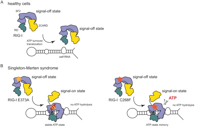 Figure 4.