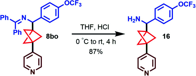 Scheme 5