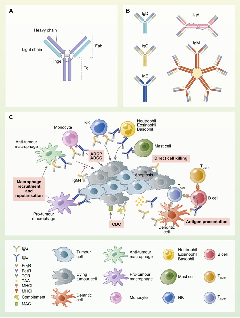 Figure 1: