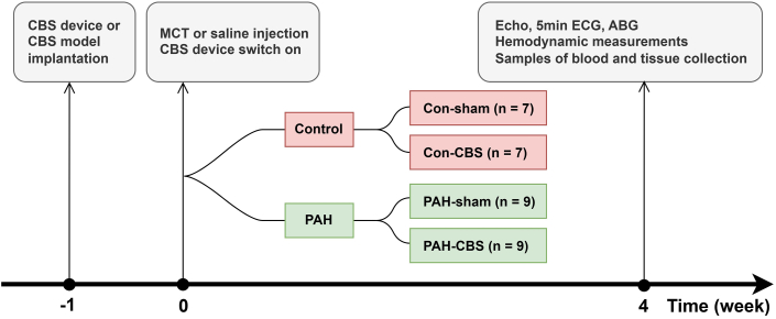 Figure 1