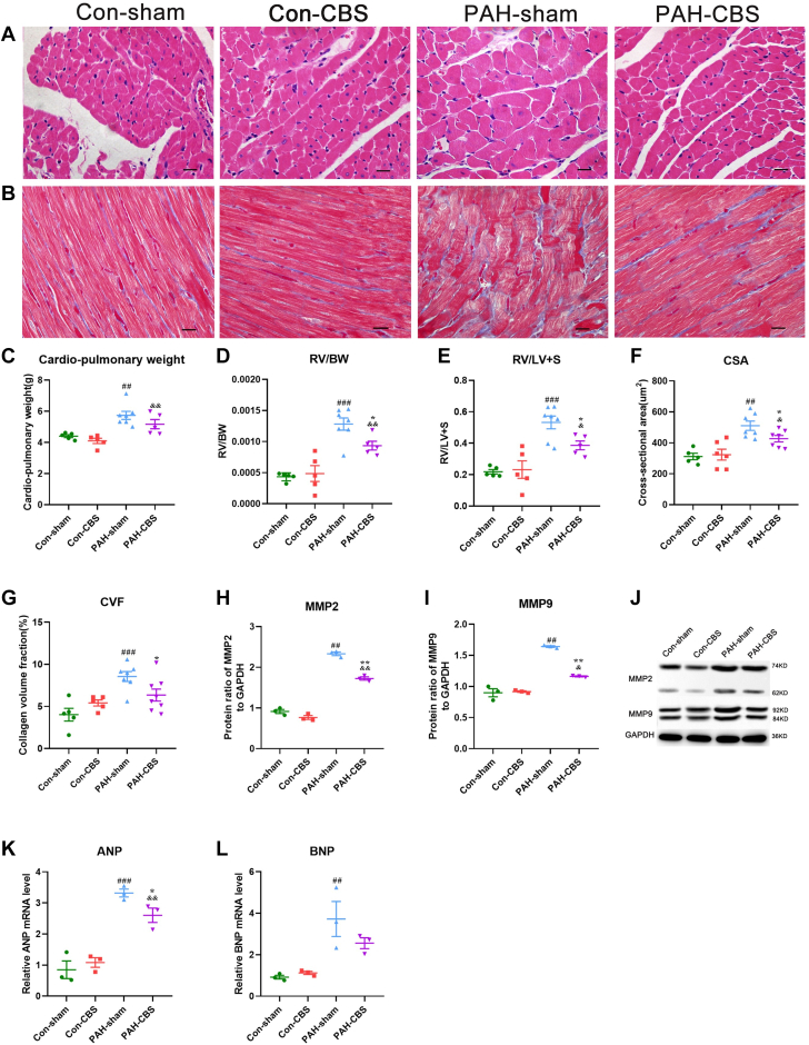 Figure 6