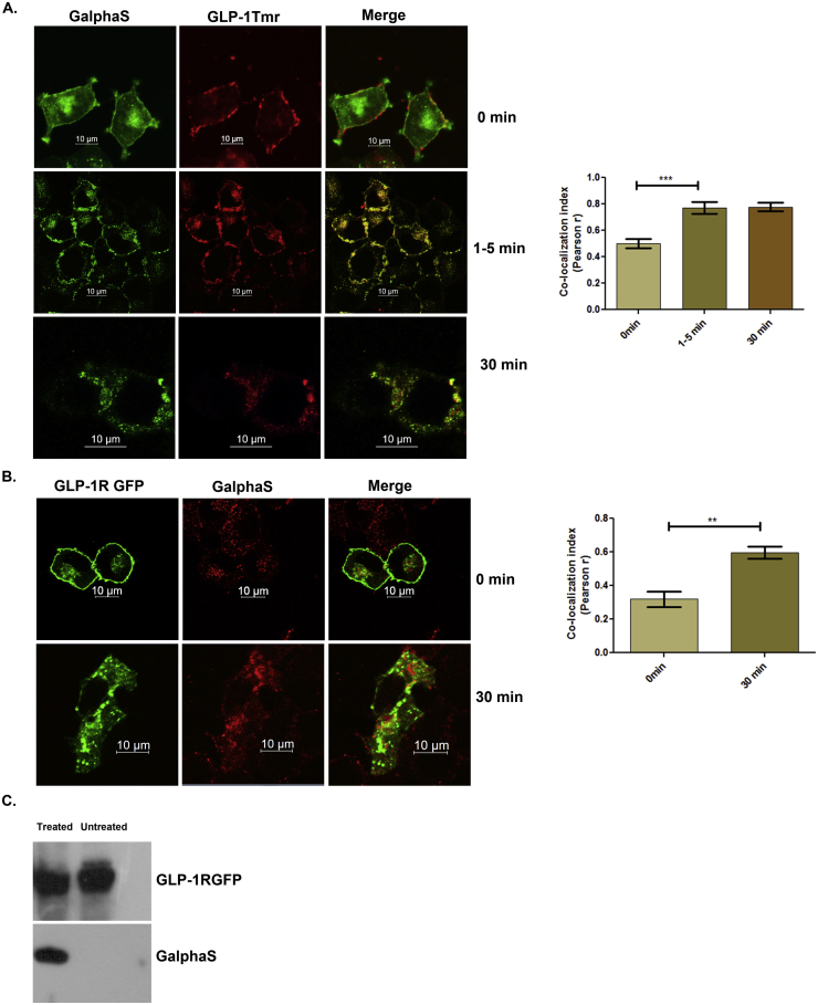 Figure 3