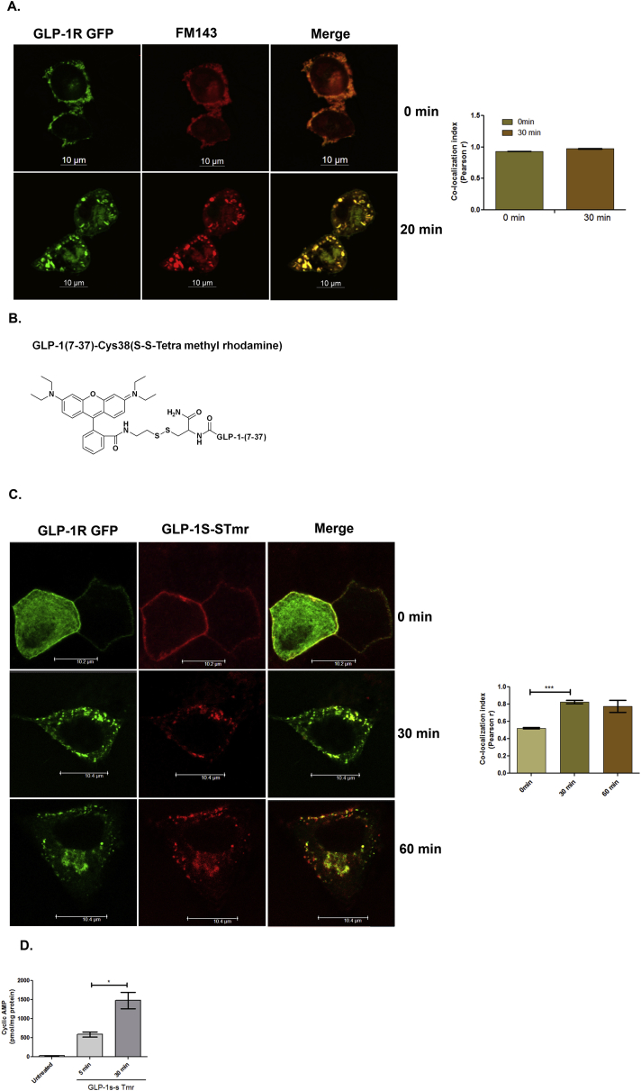 Figure 2