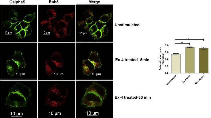 Figure 4