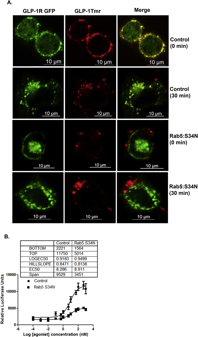 Figure 6