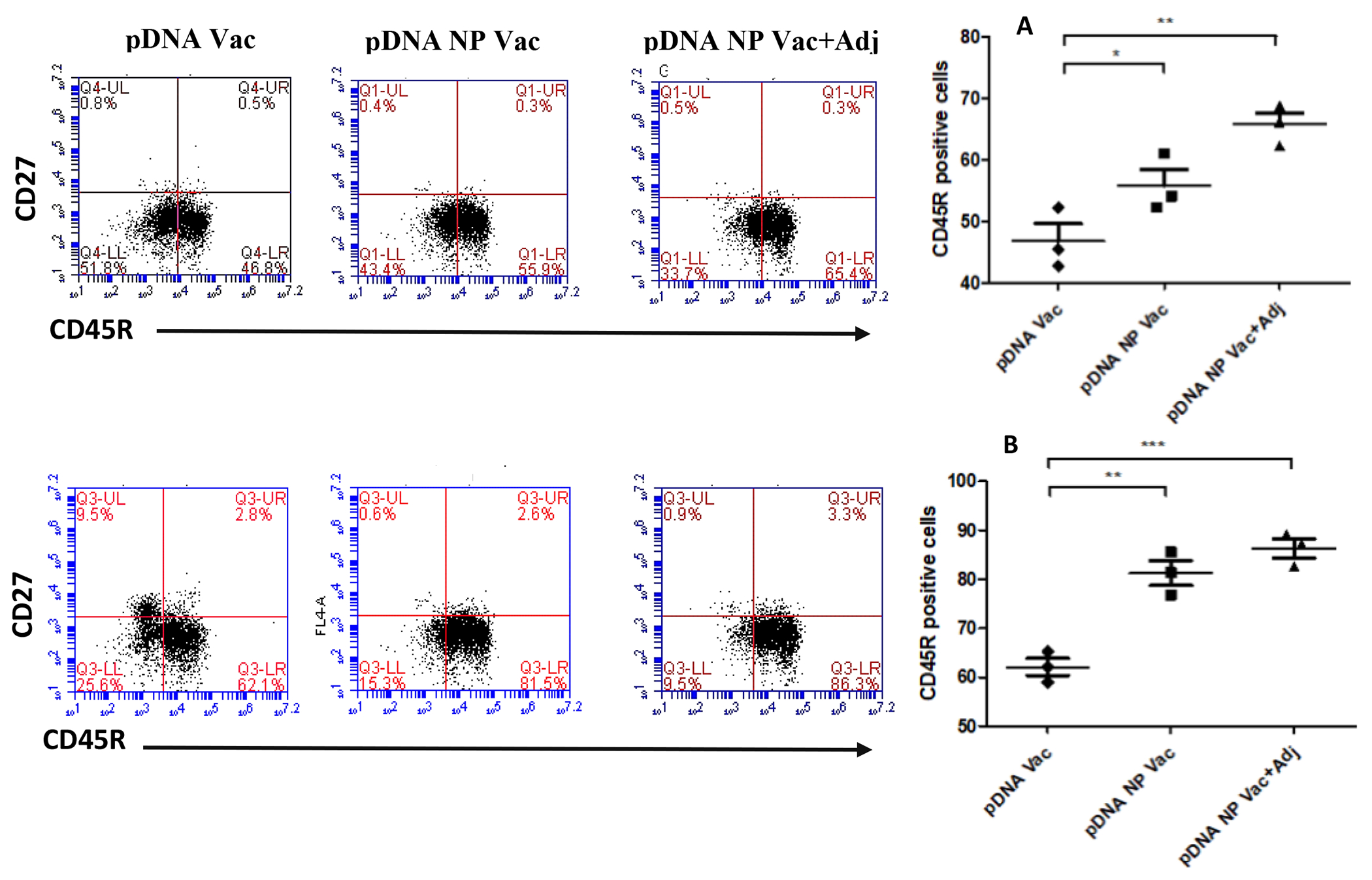 Figure 9 -