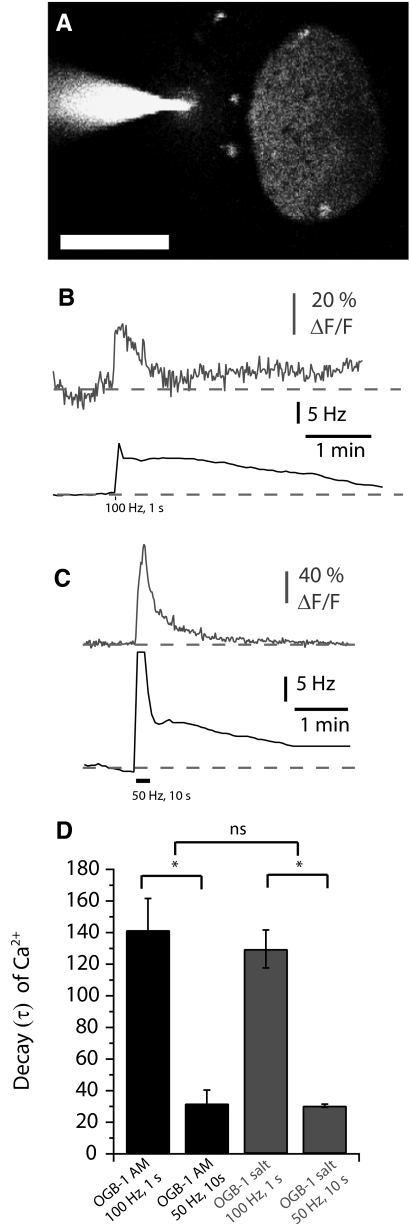 Fig. 4.