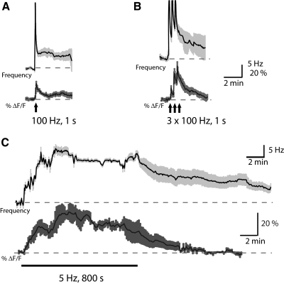 Fig. 5.