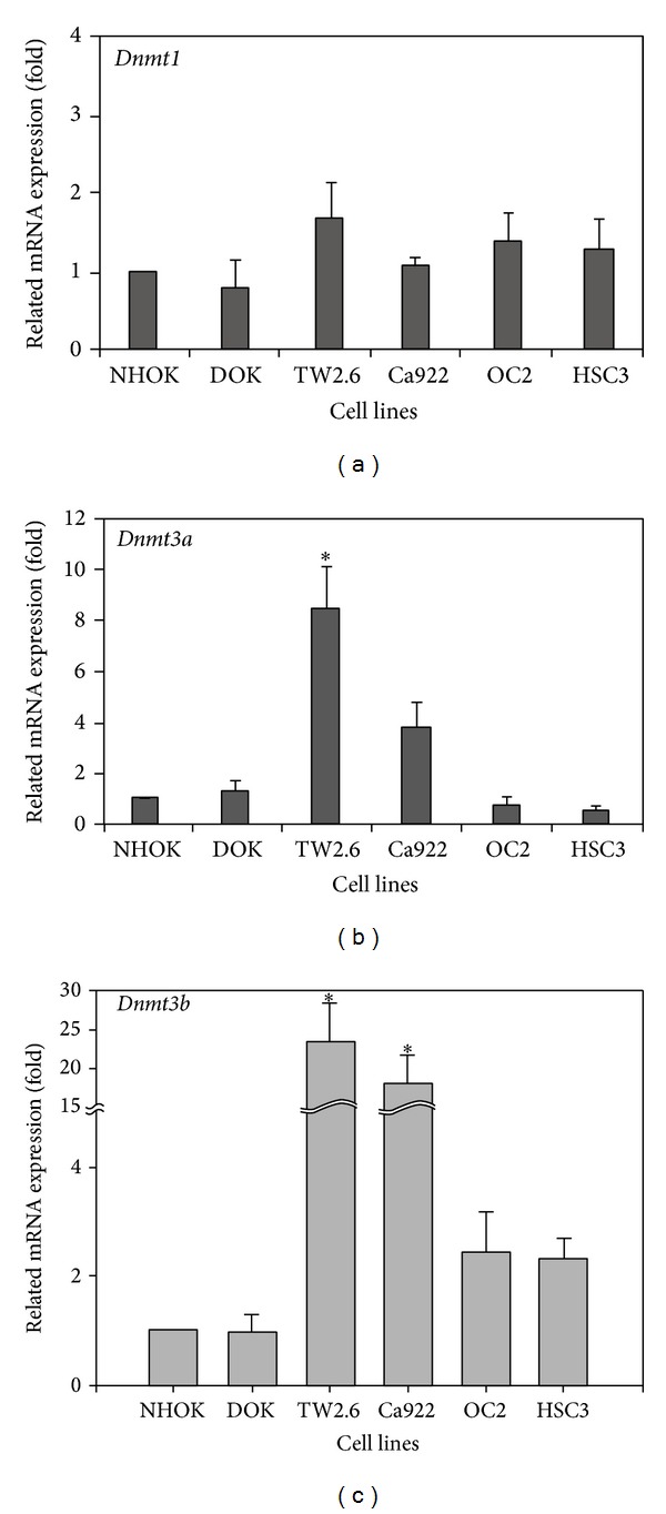 Figure 5