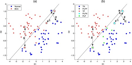 Fig. 7