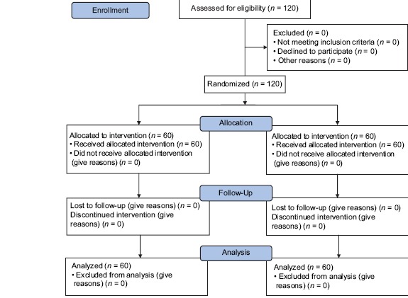 Flow Diagram 1