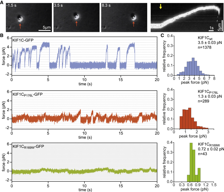 Figure 3