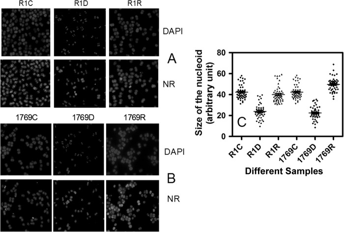 Fig 6