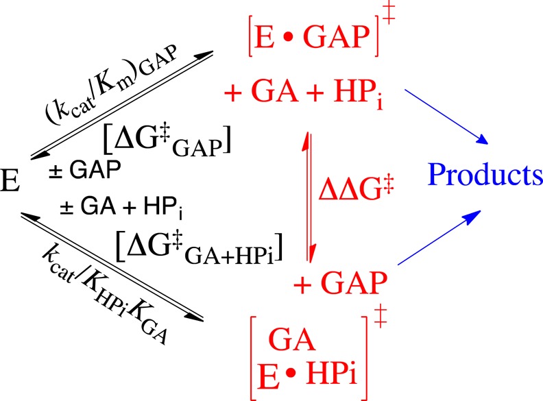 Scheme 4