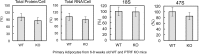 Figure 2—figure supplement 1.