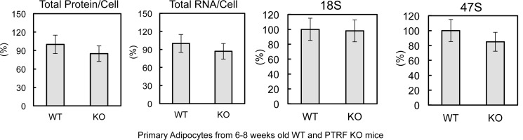 Figure 2—figure supplement 1.