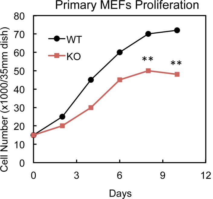 Figure 2—figure supplement 2.