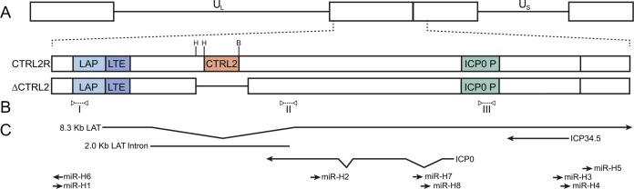 FIG 1 