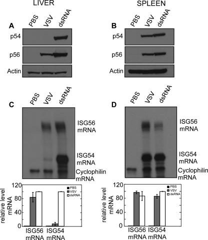 FIG. 6.