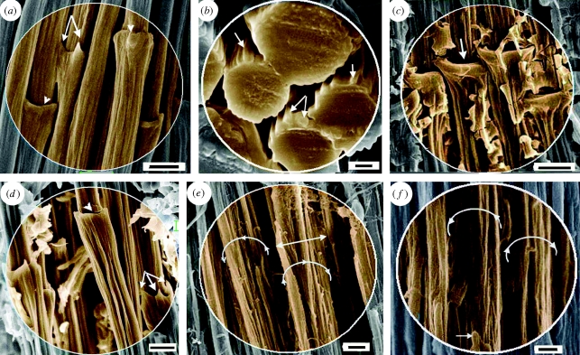 Figure 2.