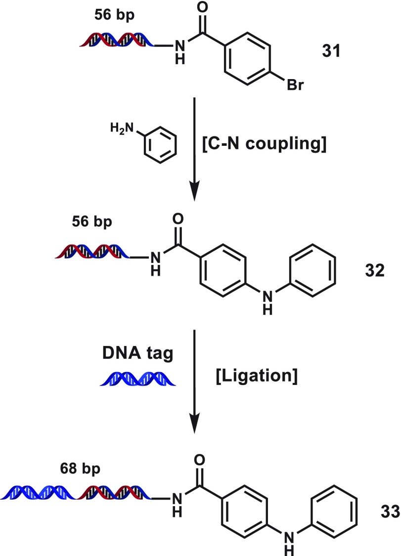 Scheme 2