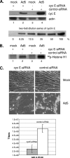 FIG. 8.