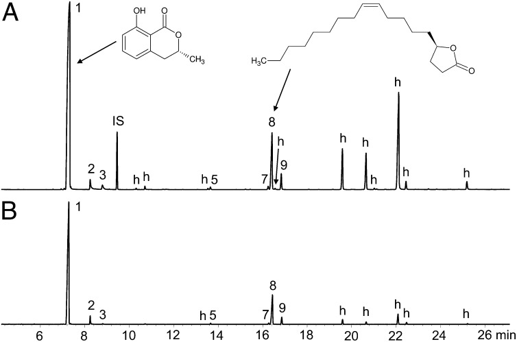 Fig. 2.