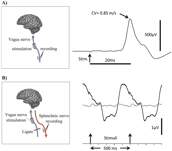 Fig. 8.