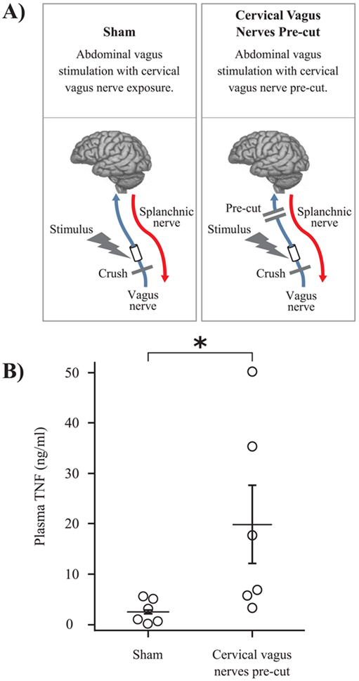 Fig. 10.