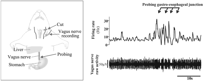 Fig. 9.